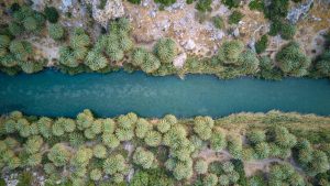 preveli river with palm trees besides